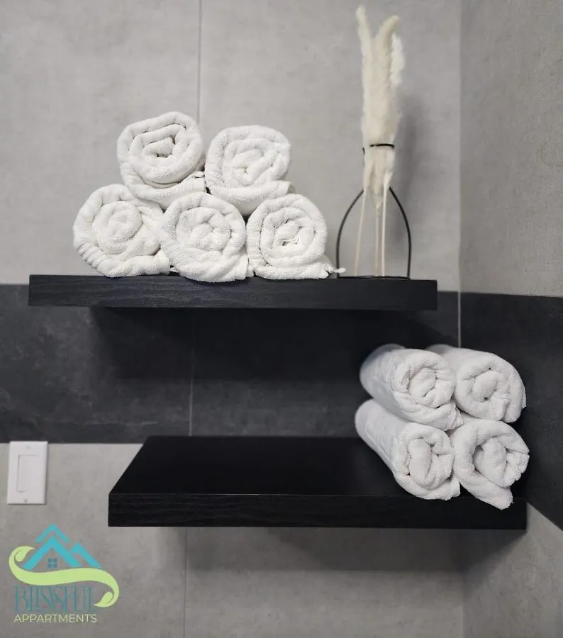 Апартаменты Blissful Appartments Виллемстад